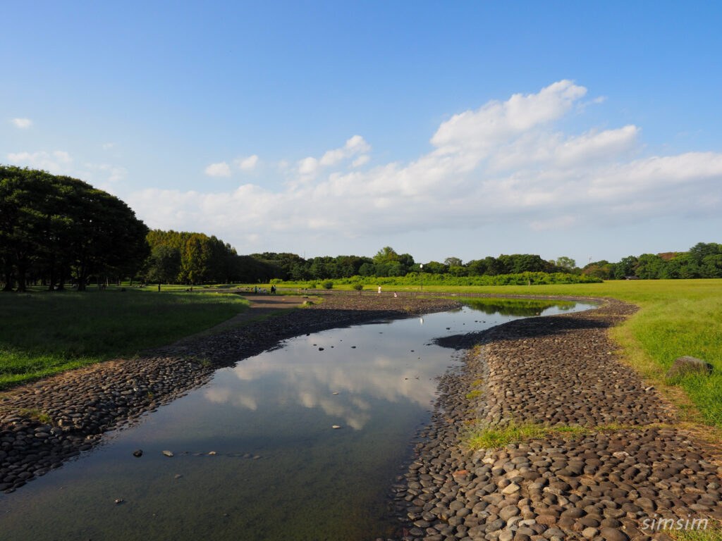 水元公園　せせらぎ広場