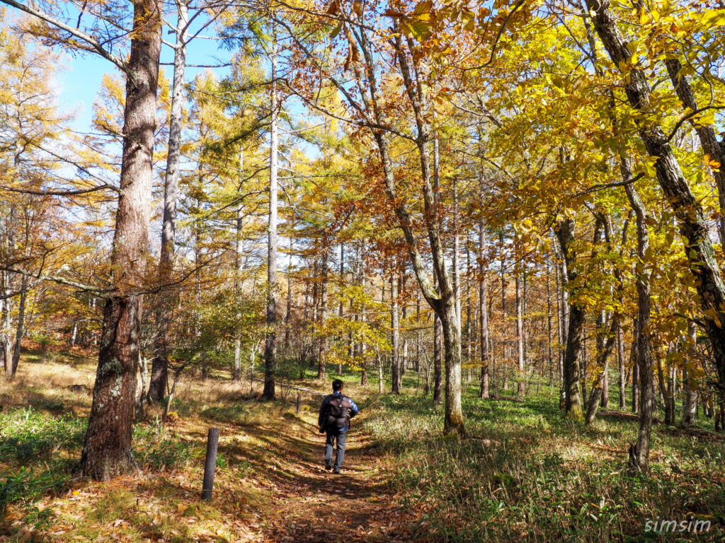 八千穂高原自然園
