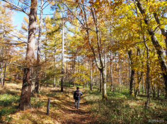 八千穂高原自然園
