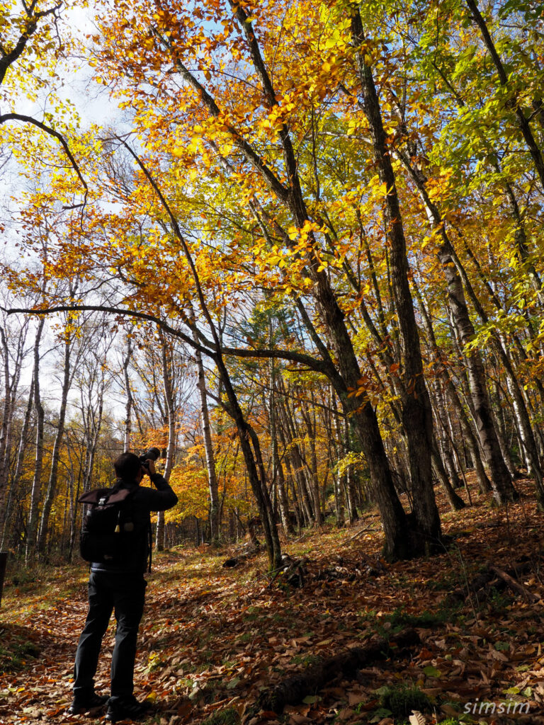 八千穂高原自然園