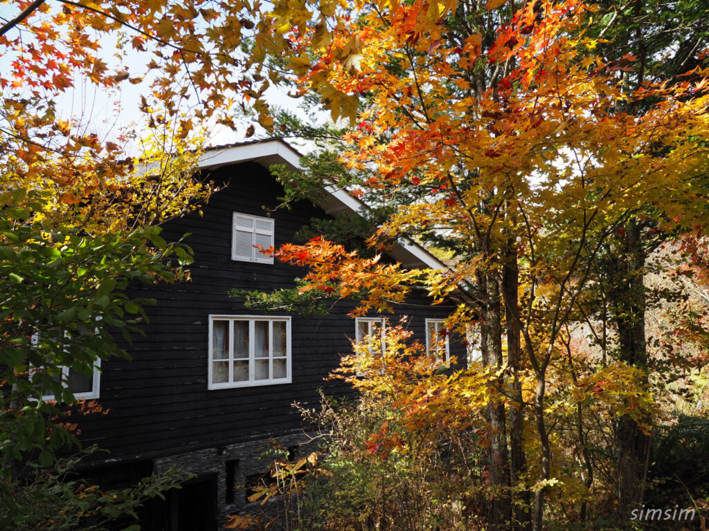 コロモデゲストハウス　庭の雰囲気