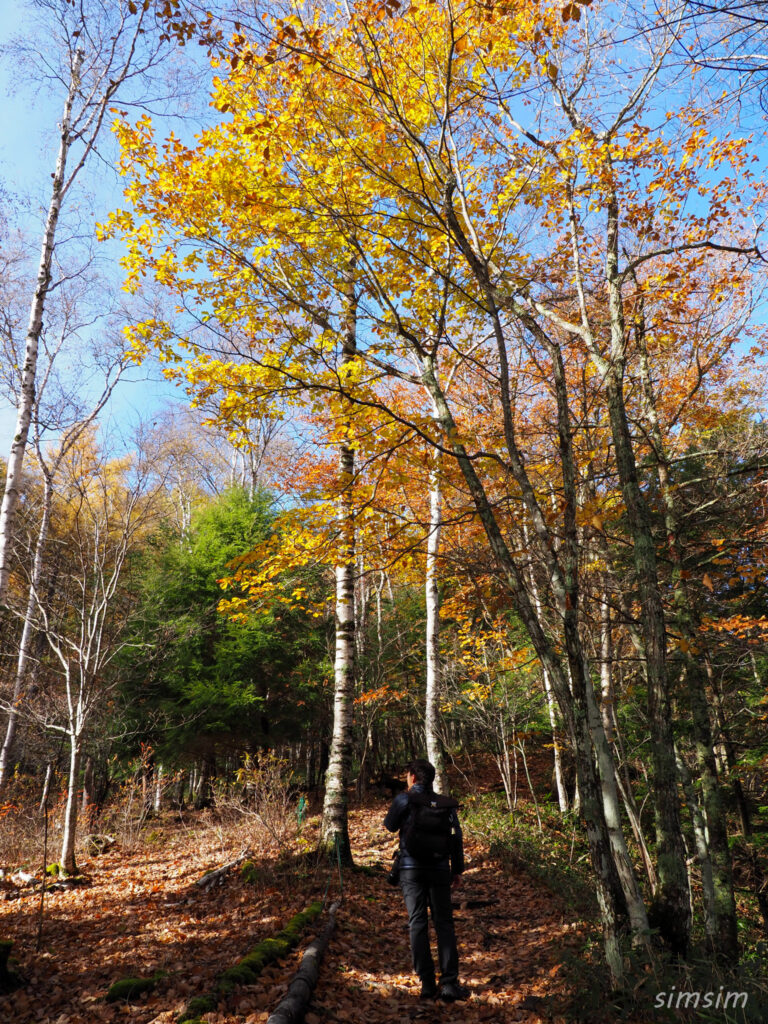 八千穂高原自然園