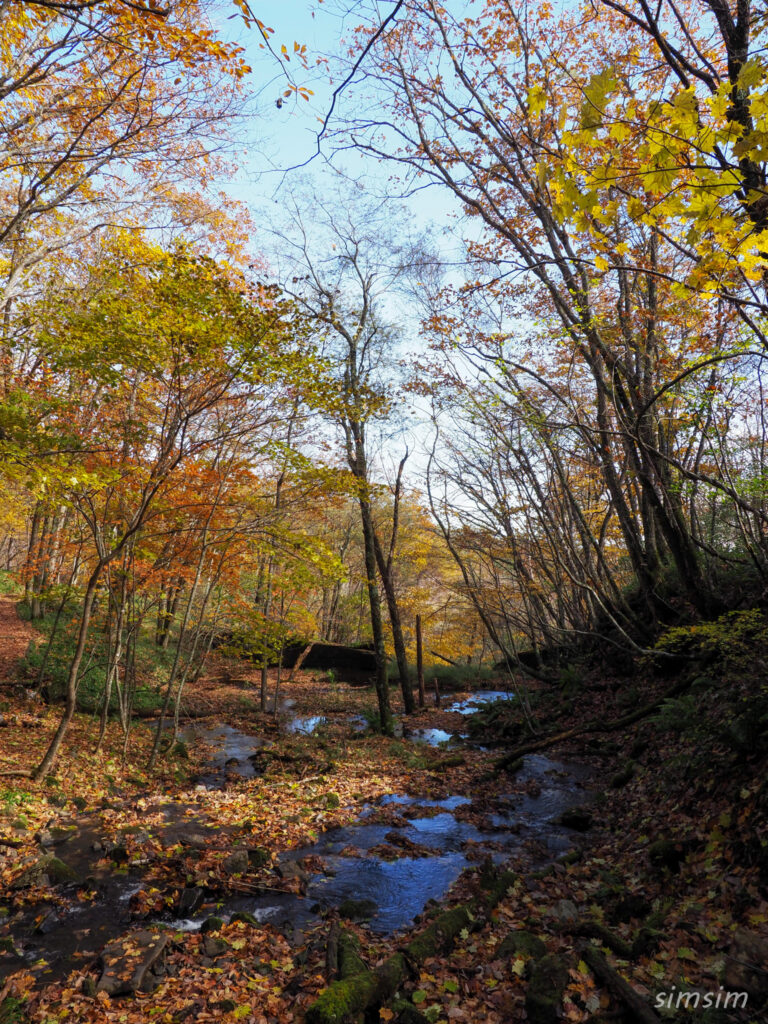 八千穂高原自然園