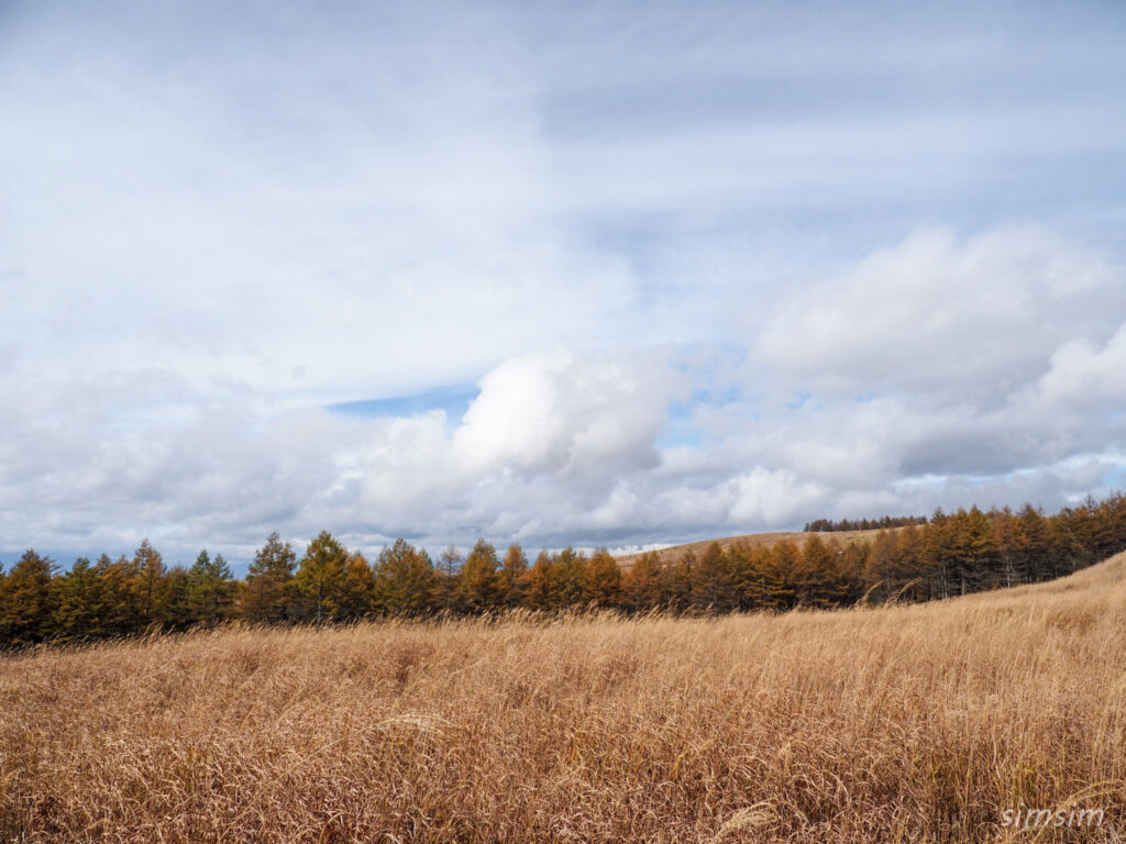 霧ヶ峰富士見台
