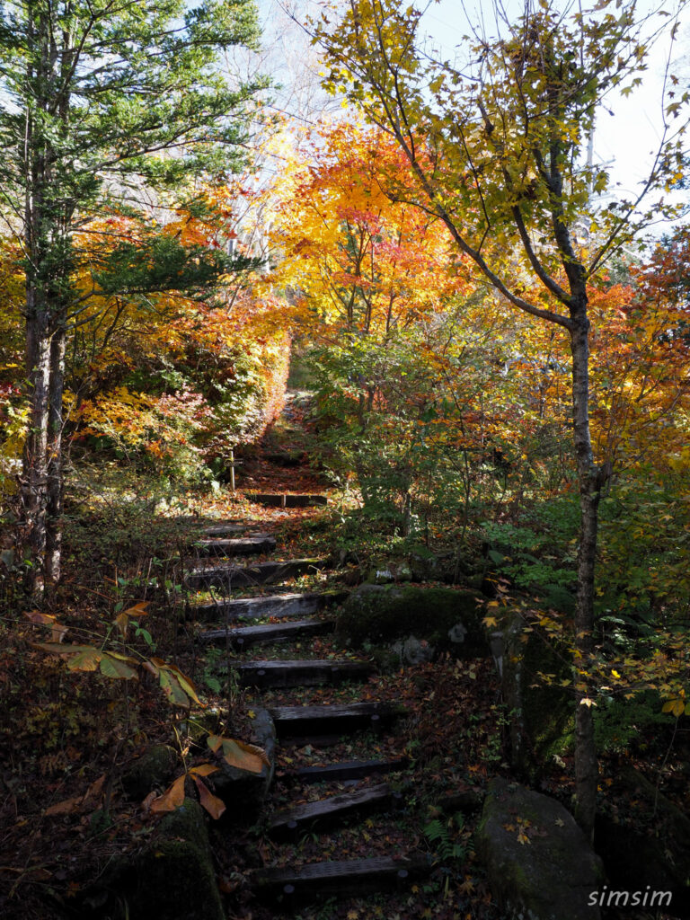 コロモデゲストハウス　庭の雰囲気