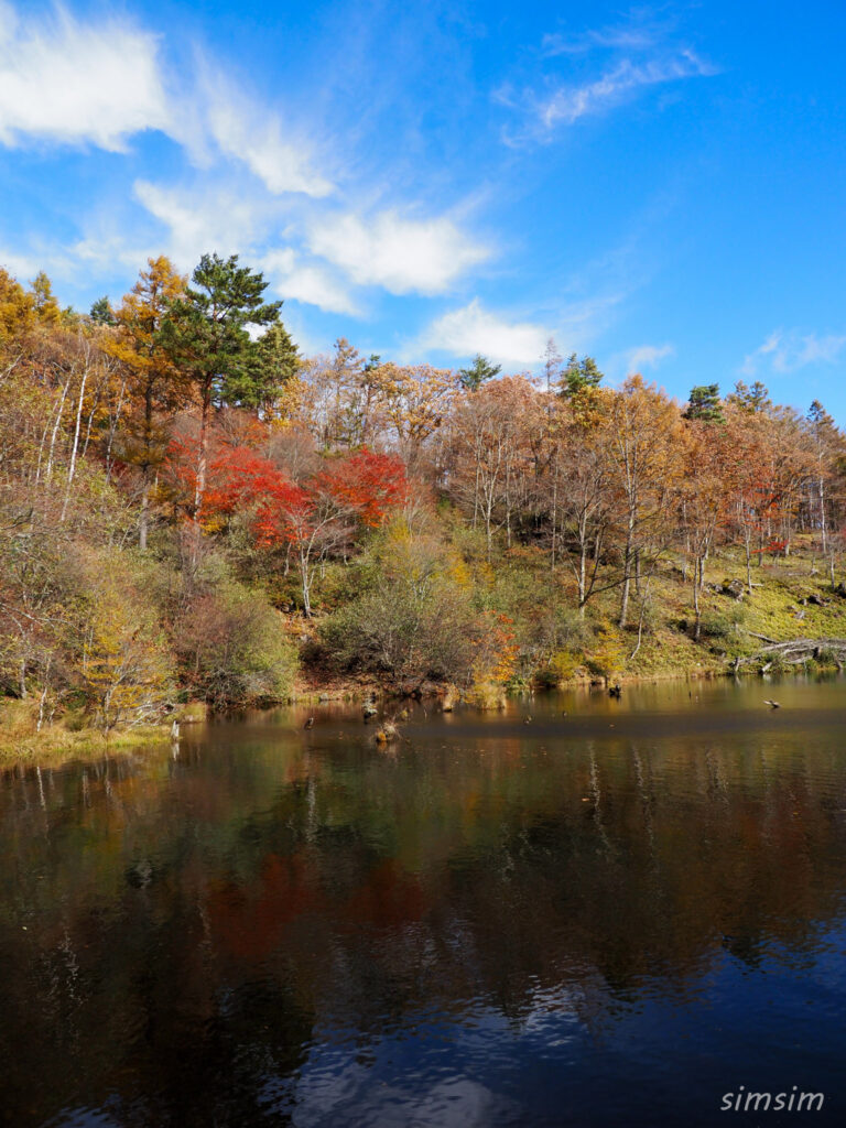 八千穂高原自然園