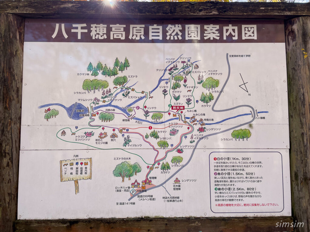 八千穂高原自然園