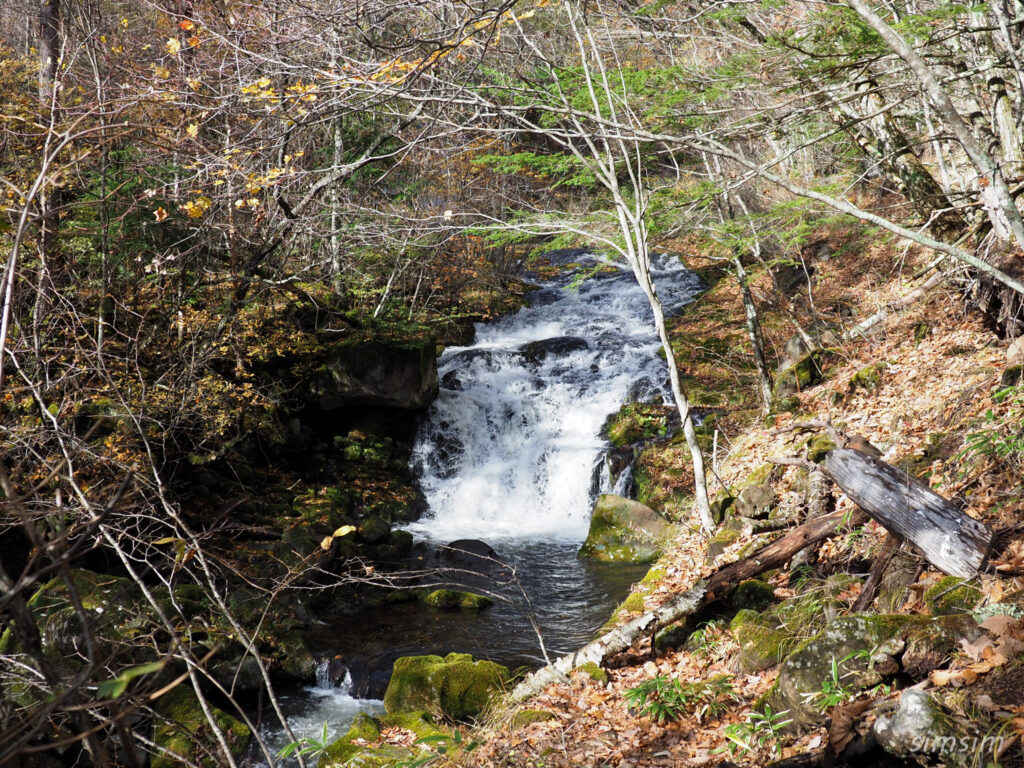 八千穂高原自然園