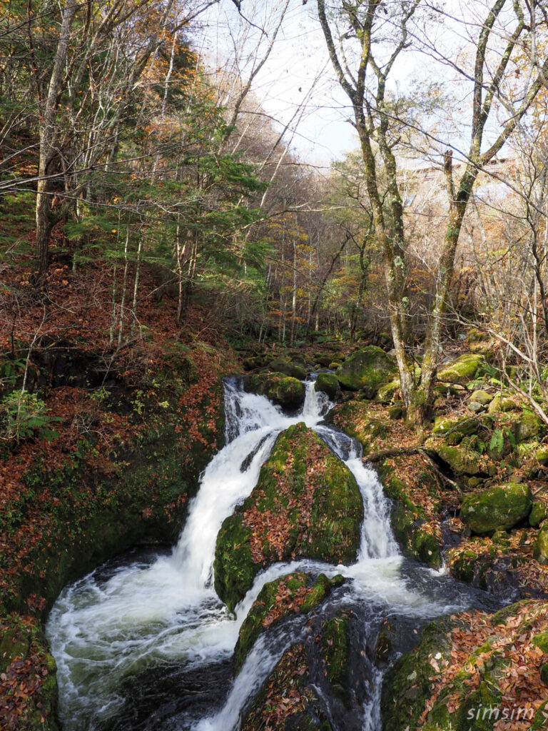 八千穂高原自然園