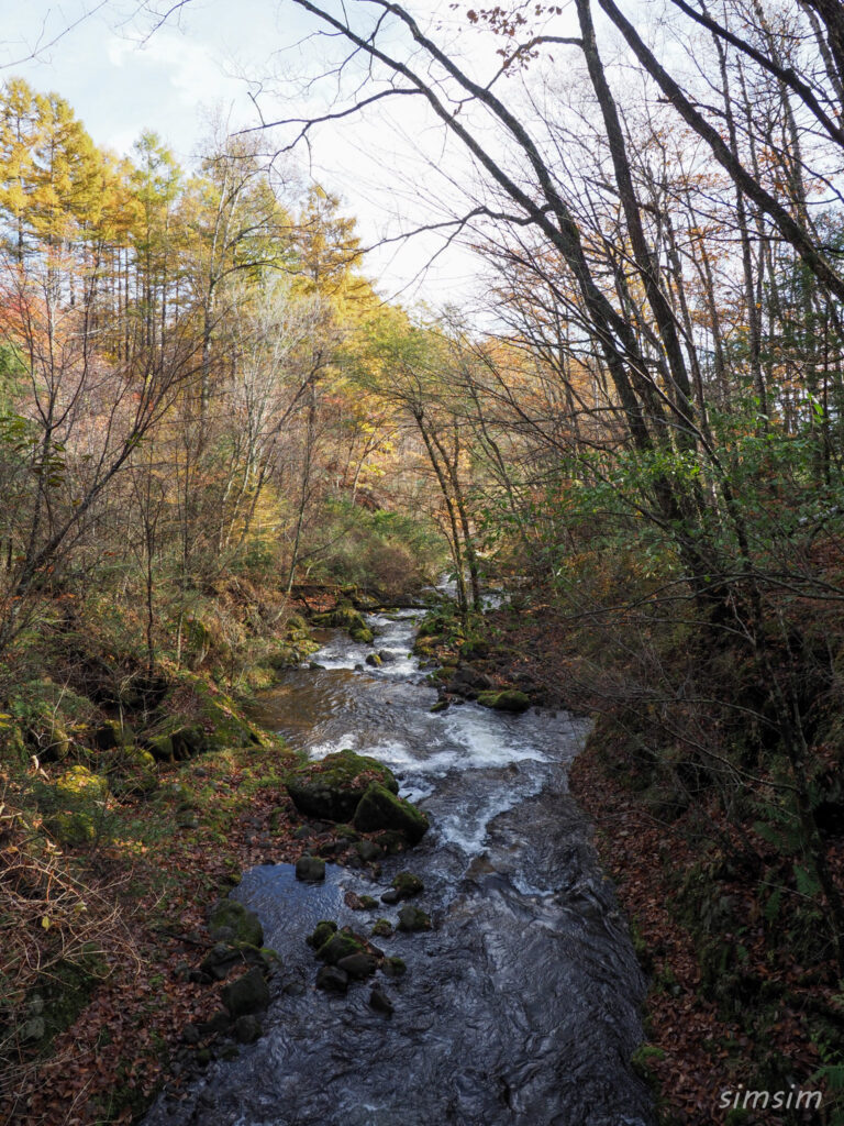 八千穂高原自然園