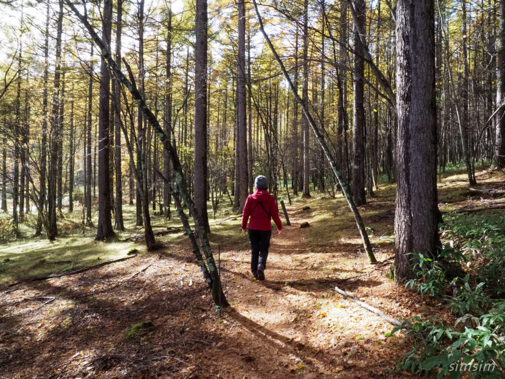 八千穂高原自然園