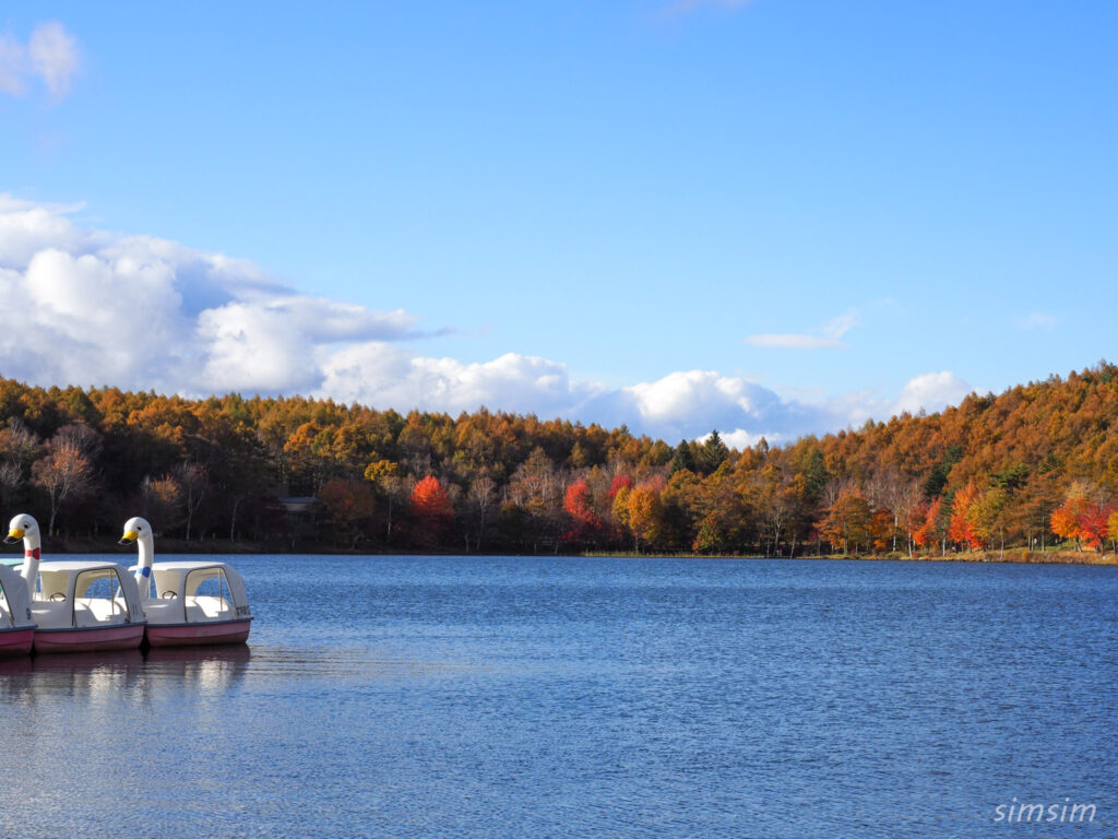 女神湖　紅葉