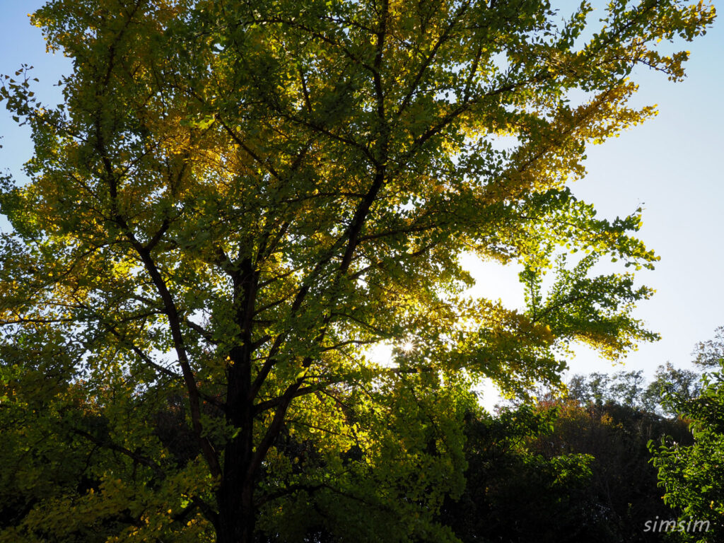 埼玉県こども動物自然公園