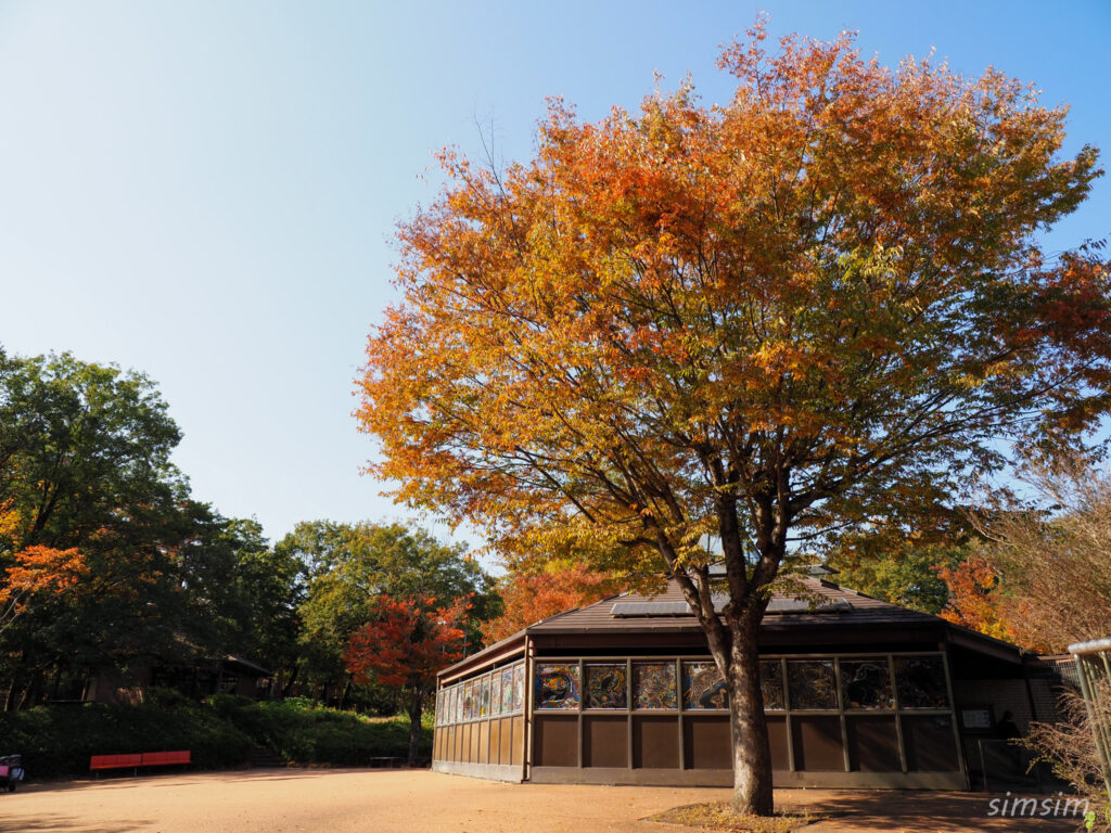 埼玉県こども動物自然公園