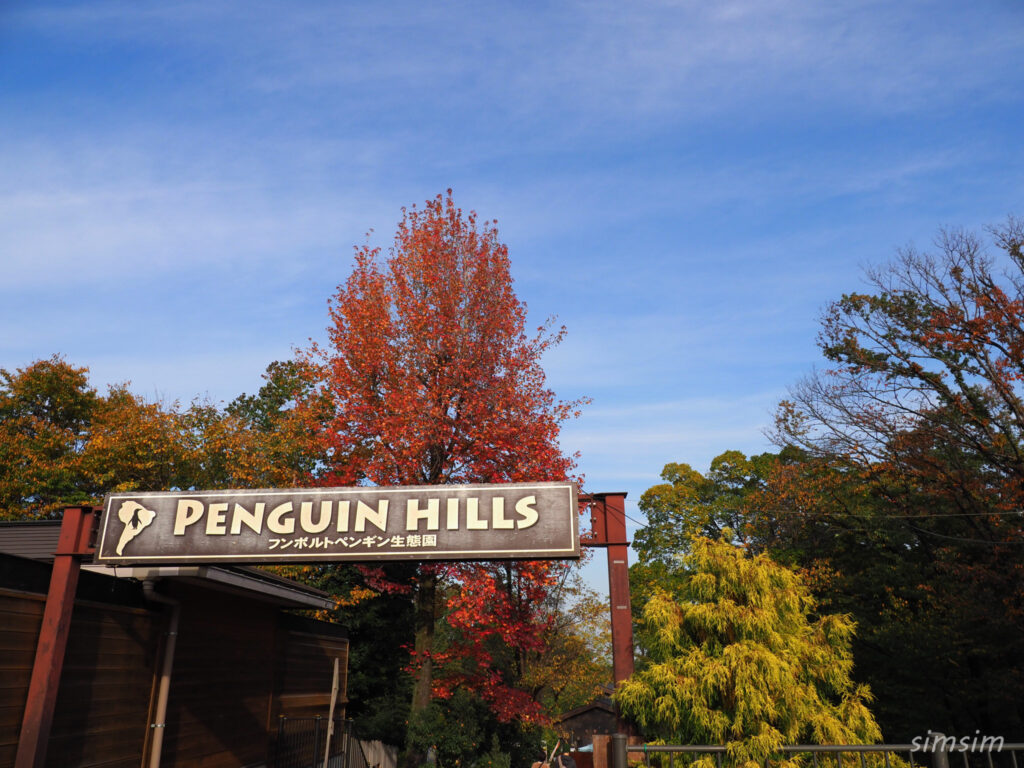 埼玉県こども動物自然公園　ペンギンヒルズ