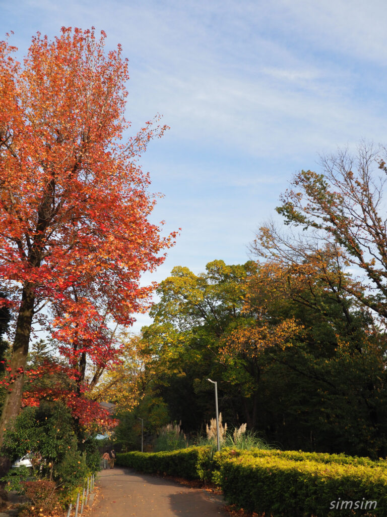 埼玉県こども動物自然公園