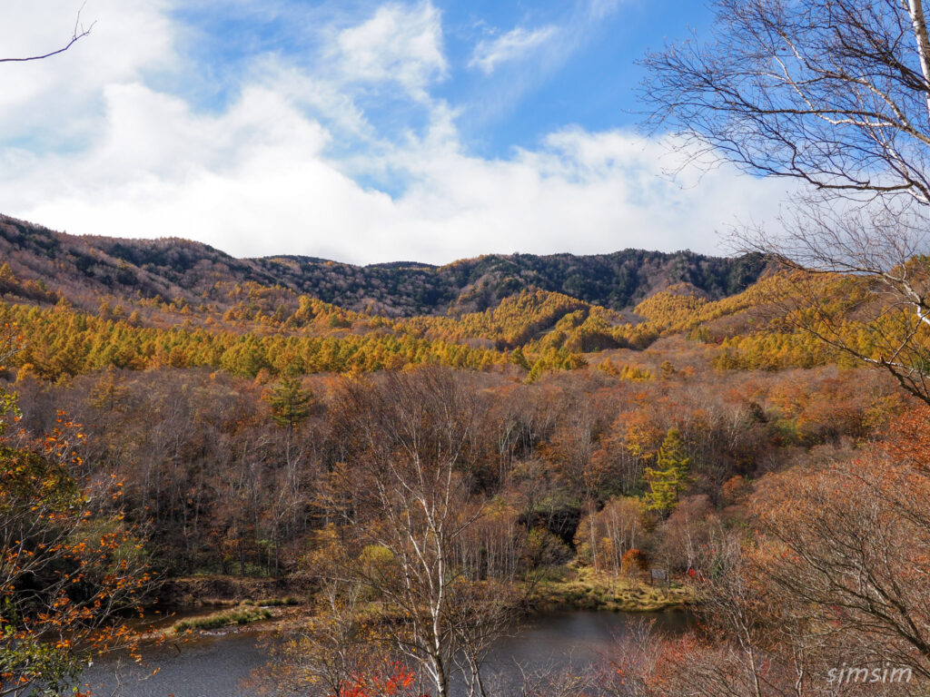 八千穂高原自然園