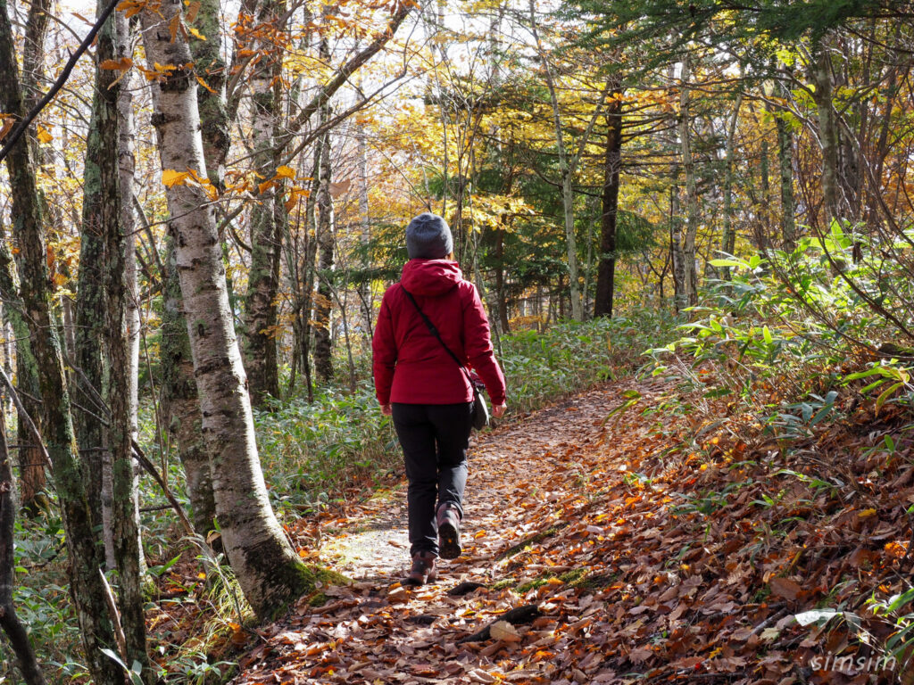 八千穂高原自然園