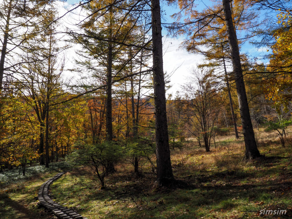 八千穂高原自然園
