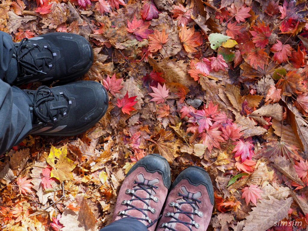 八千穂高原自然園