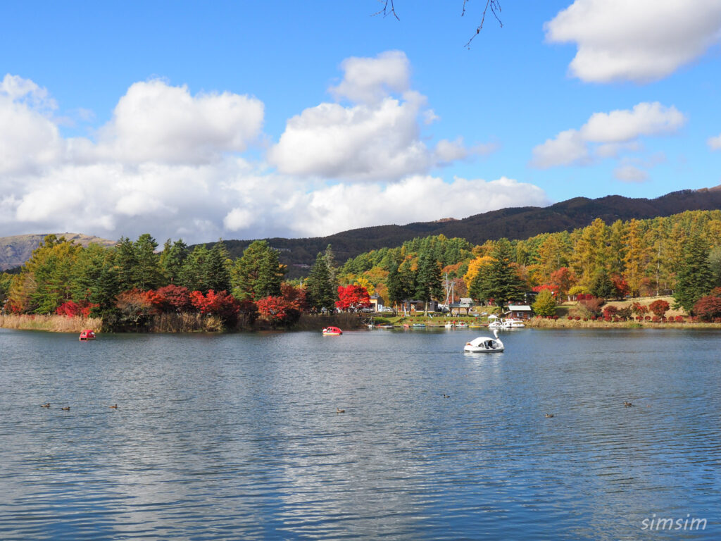 蓼科湖　紅葉