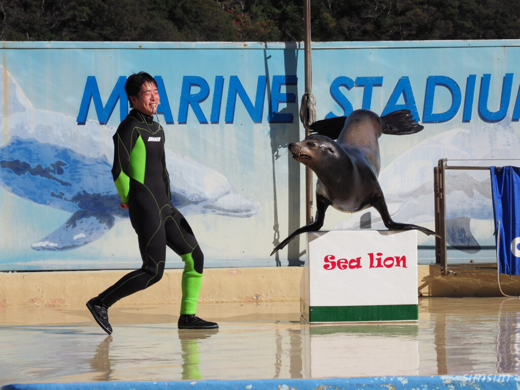 下田海中水族館 マリンスタジアム