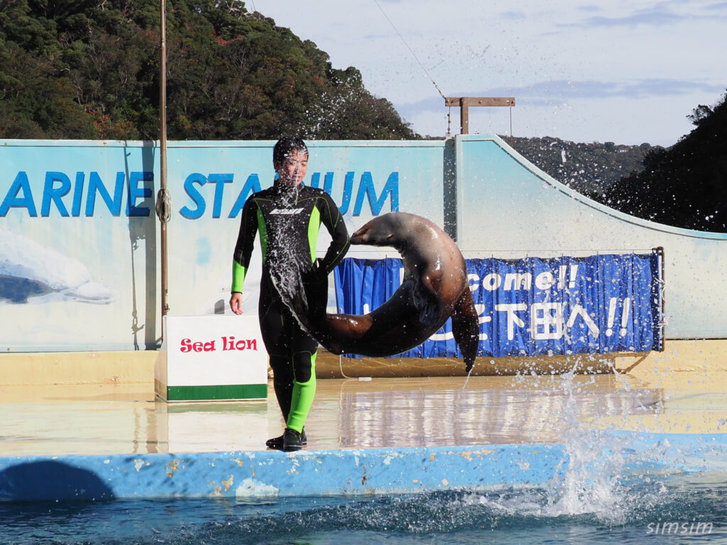 下田海中水族館 マリンスタジアム