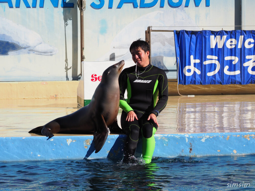 下田海中水族館 マリンスタジアム