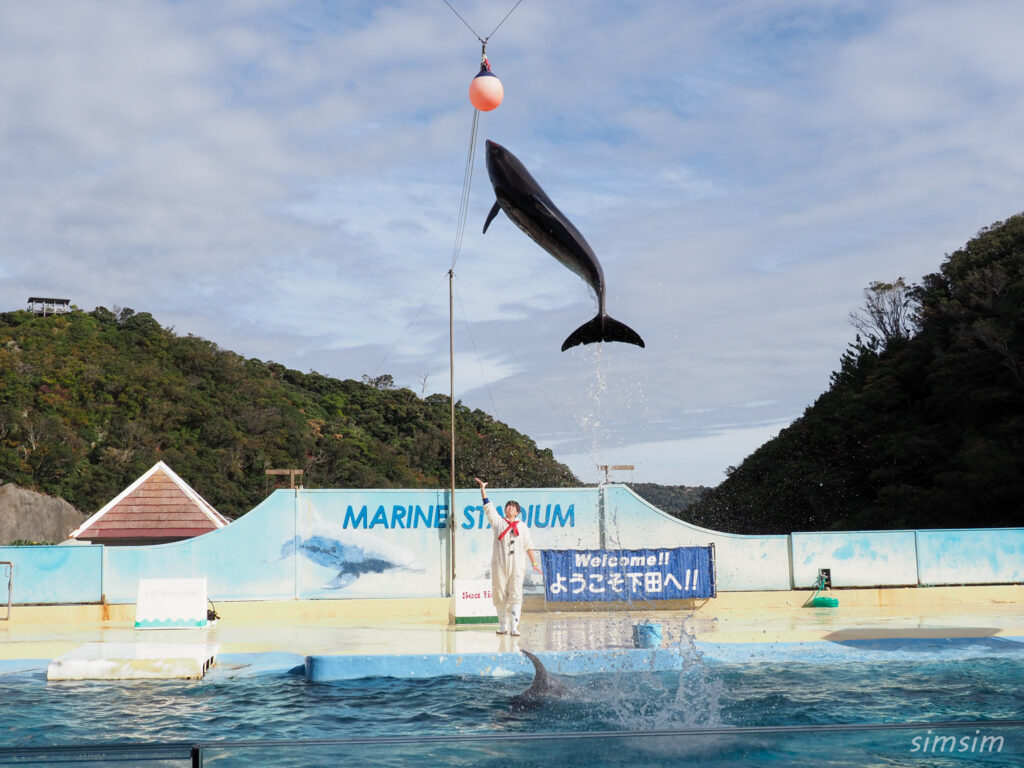 下田海中水族館 マリンスタジアム