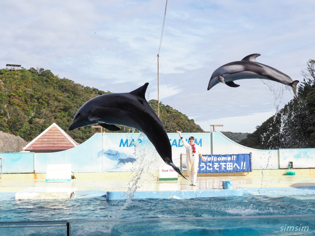 下田海中水族館 マリンスタジアム