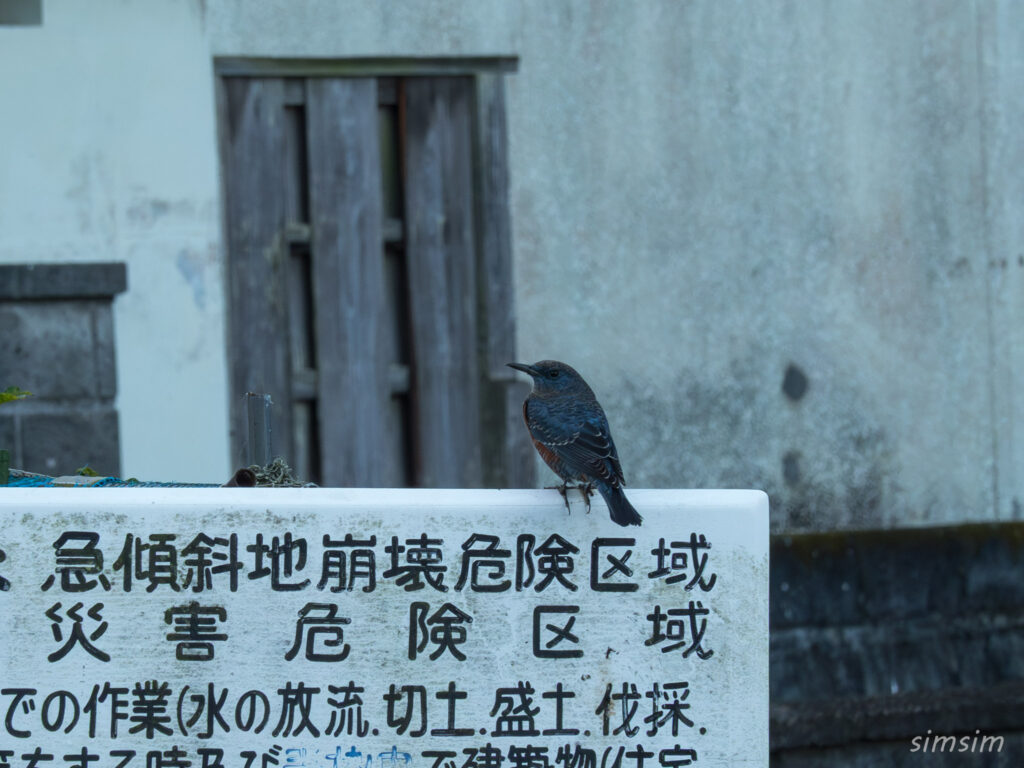 温泉民宿さかんや