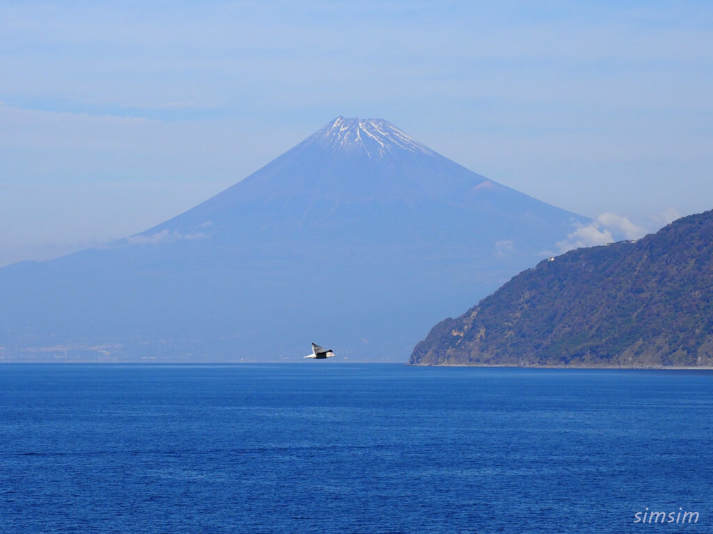 伊豆ドライブ 富士見駐車場