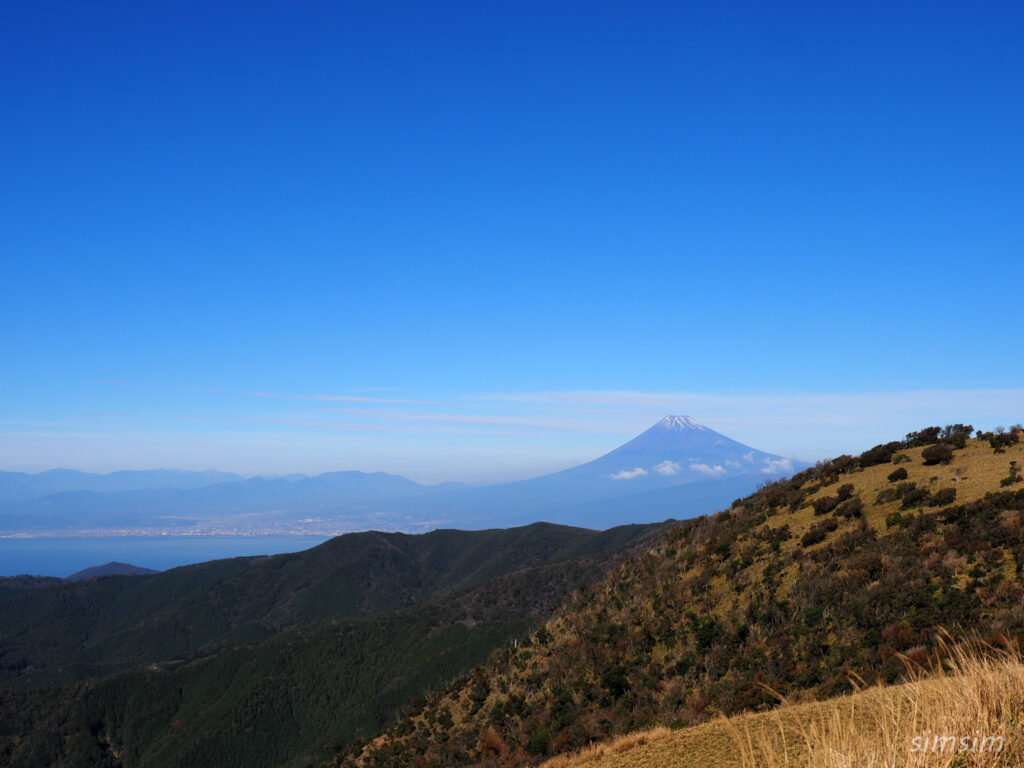 伊豆ドライブ 達磨山ハイキング