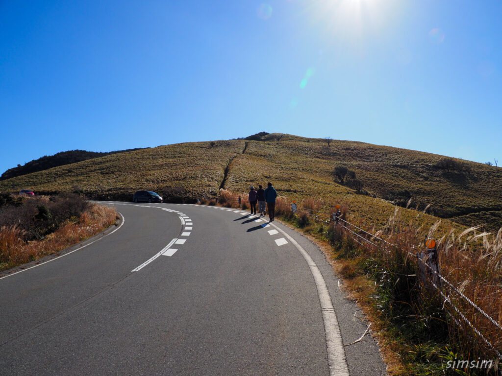 伊豆ドライブ 達磨山ハイキング