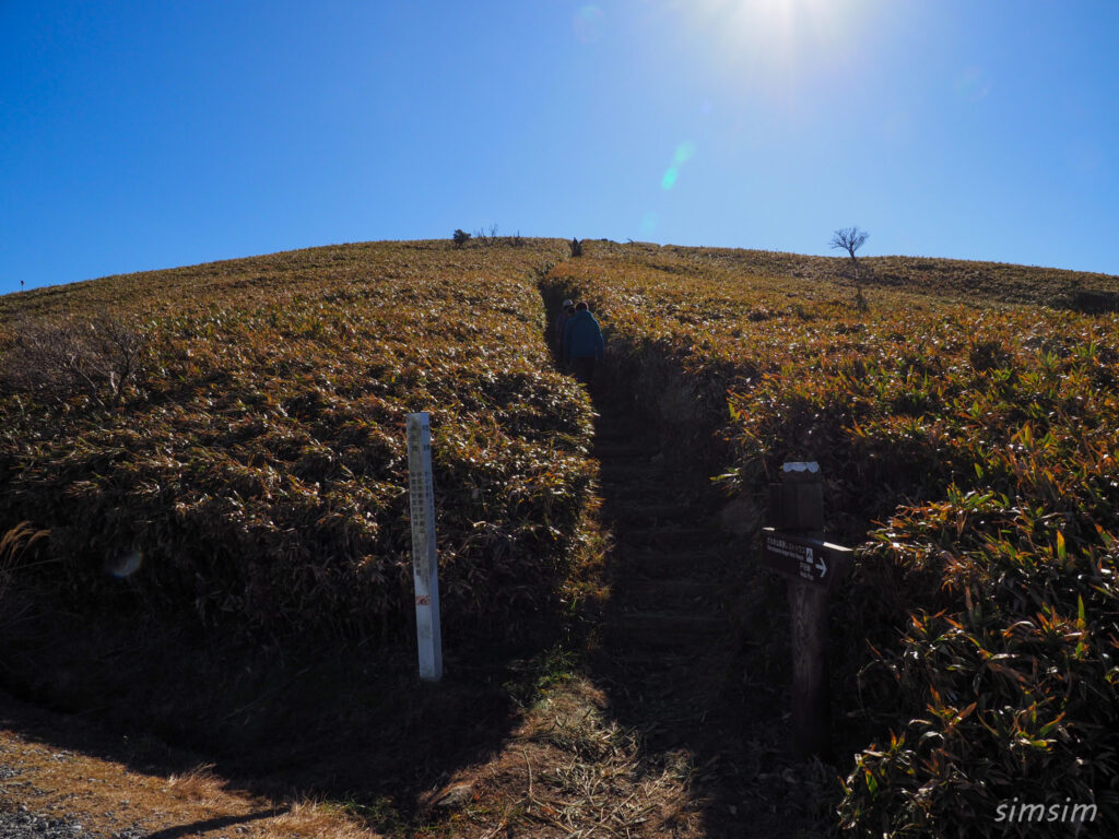 伊豆ドライブ 達磨山ハイキング