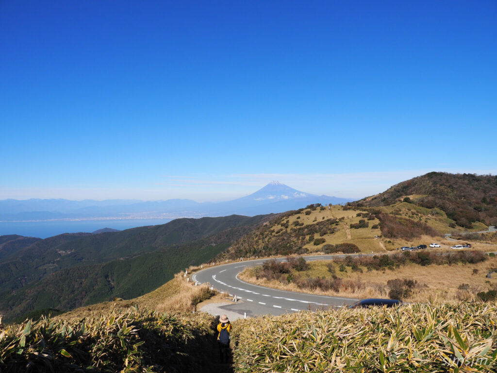 伊豆ドライブ 達磨山ハイキング