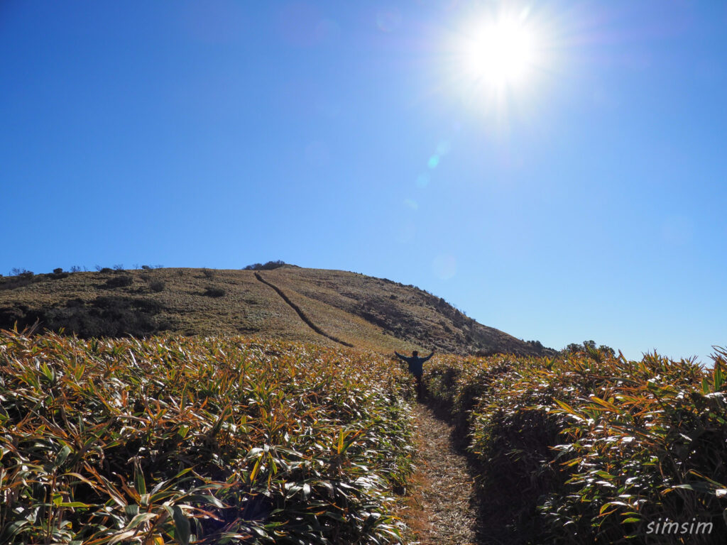 伊豆ドライブ 達磨山ハイキング