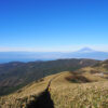 伊豆ドライブ　達磨山ハイキング