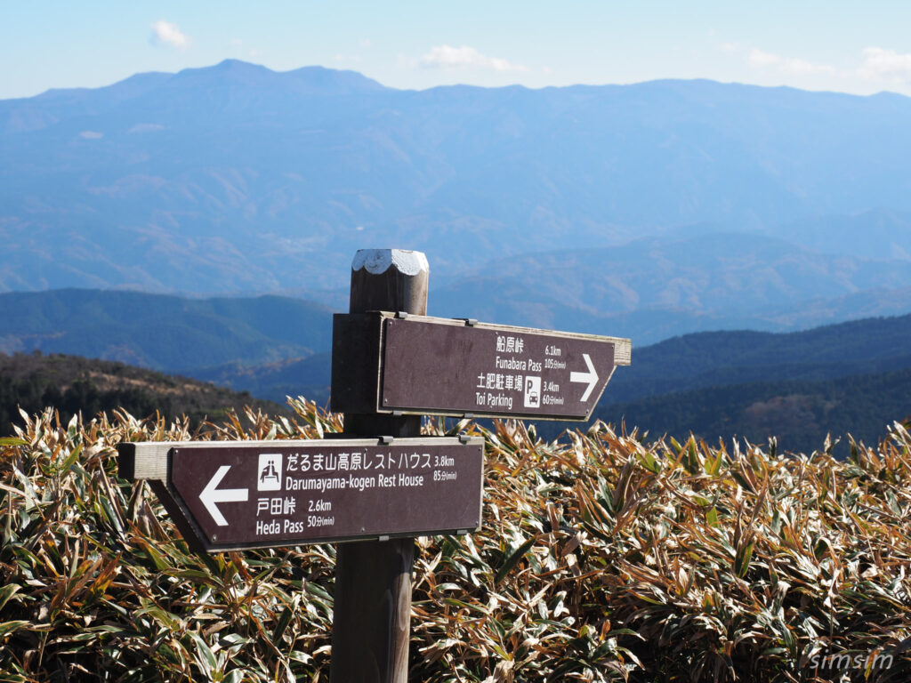 伊豆ドライブ 達磨山ハイキング