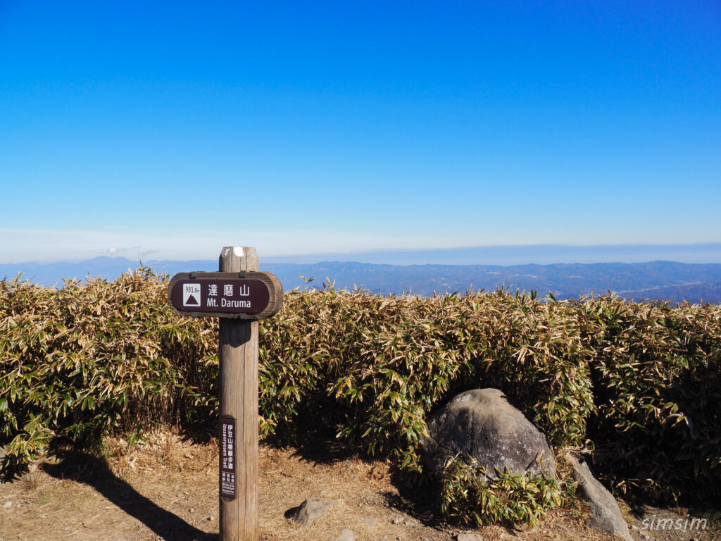 伊豆ドライブ 達磨山ハイキング