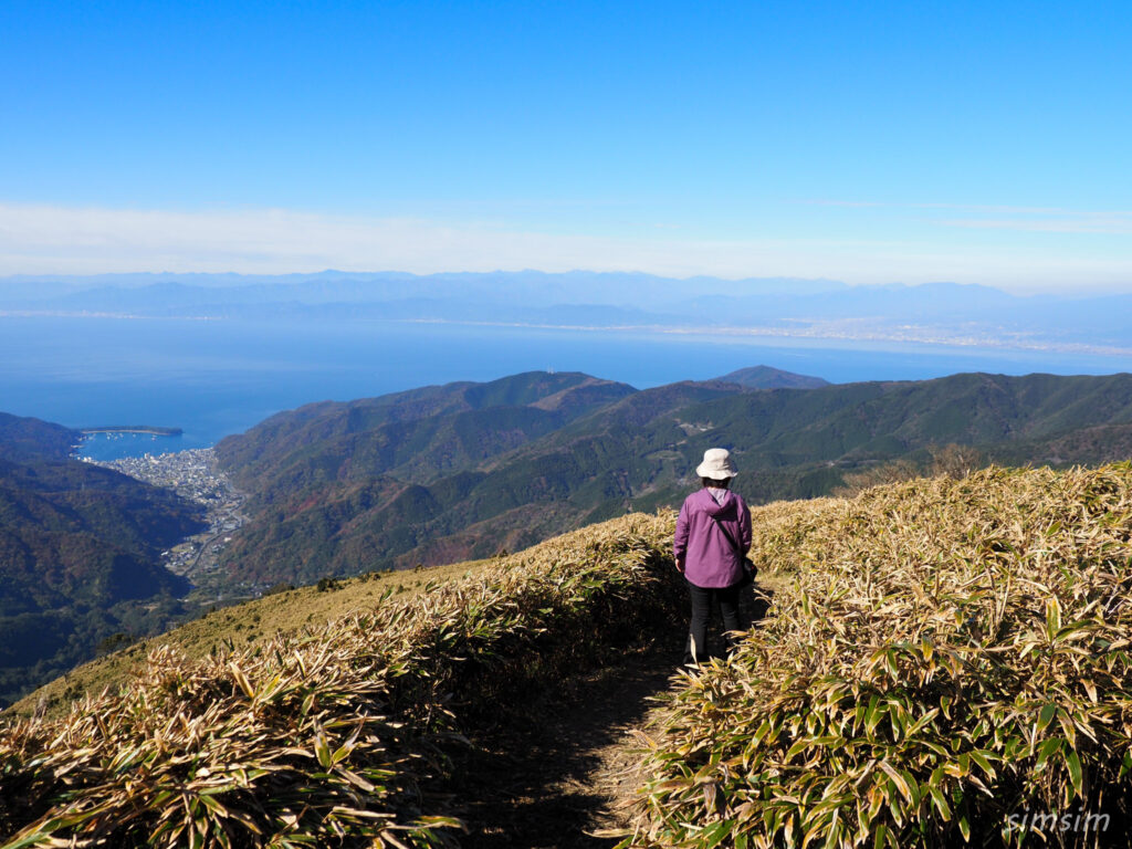 伊豆ドライブ 達磨山ハイキング