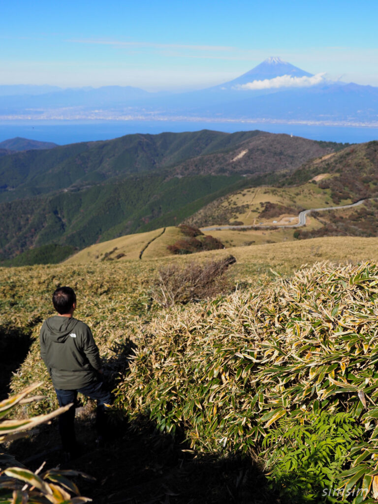 伊豆ドライブ 達磨山ハイキング