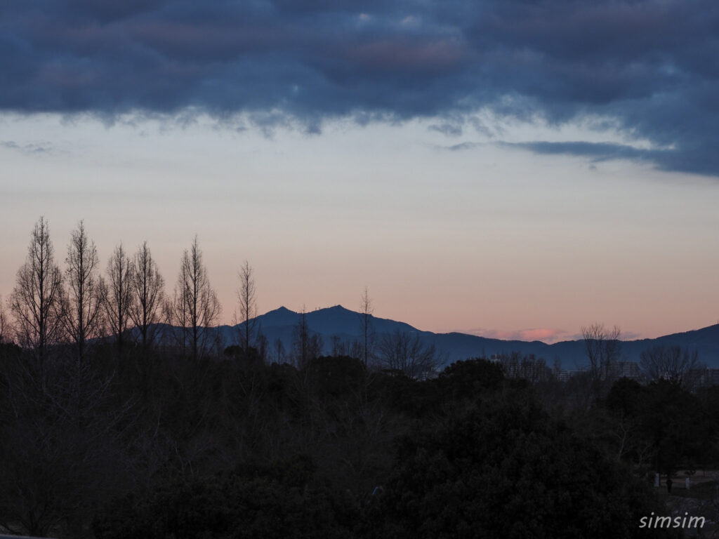 霞ヶ浦総合公園