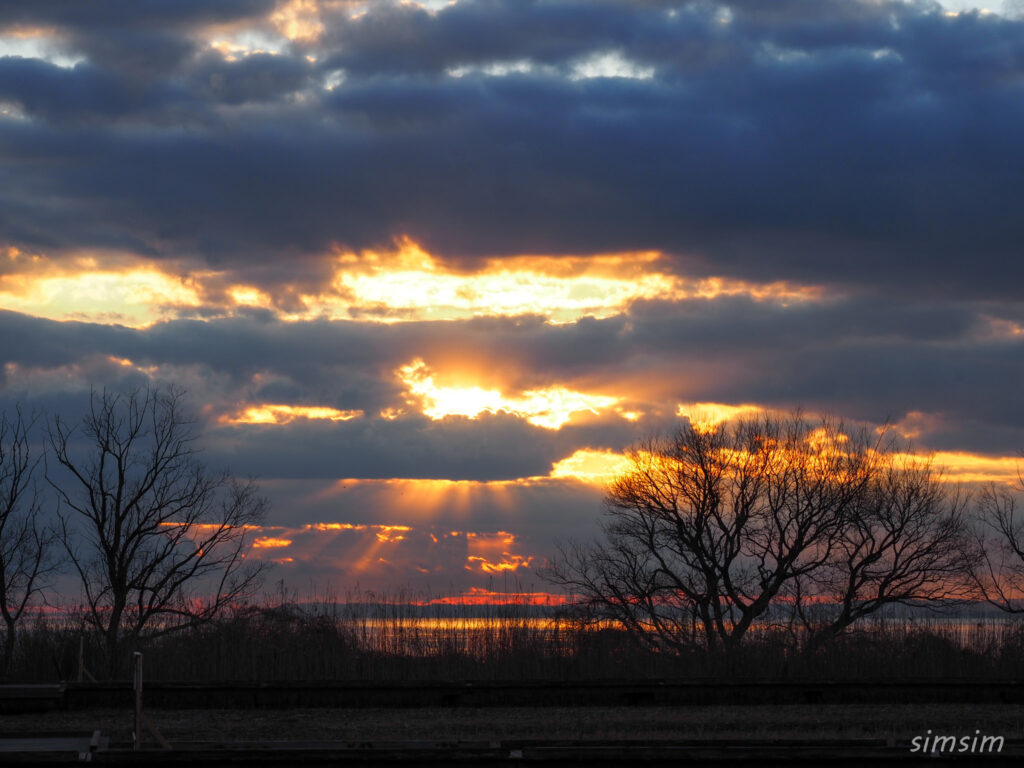 霞ヶ浦総合公園