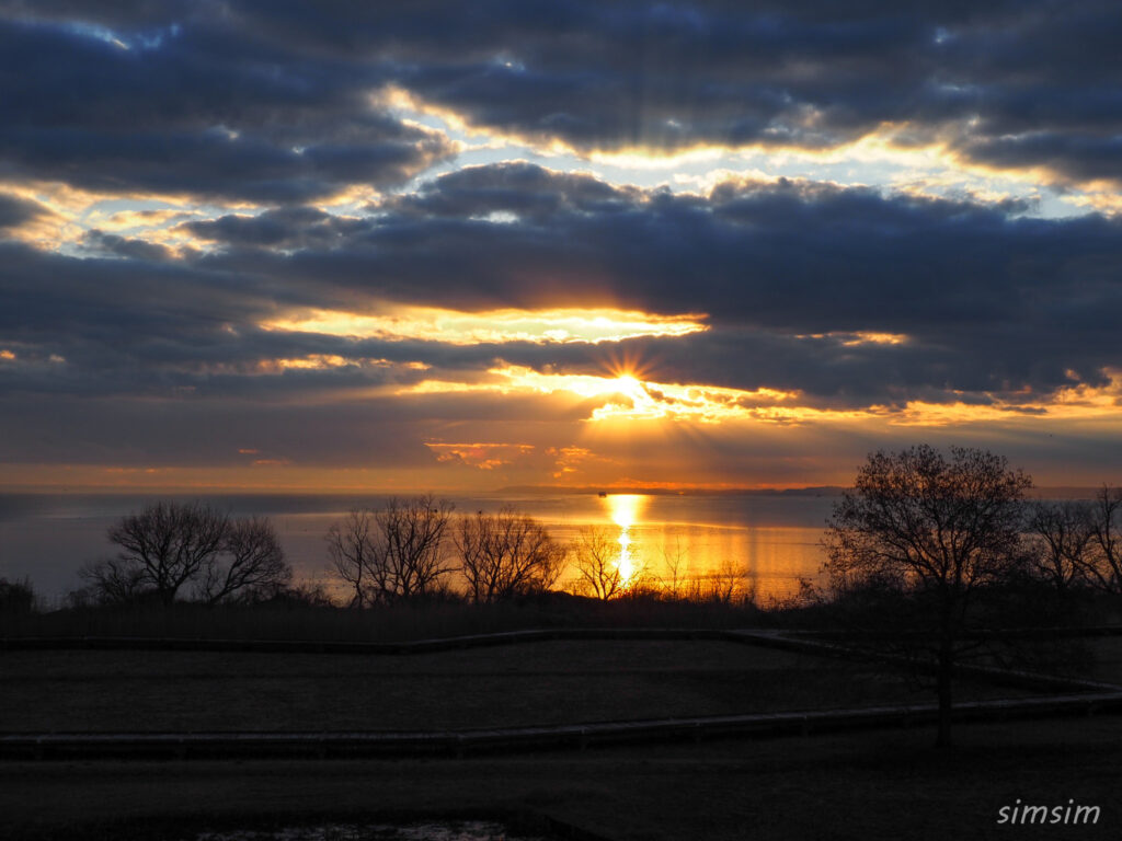 霞ヶ浦総合公園