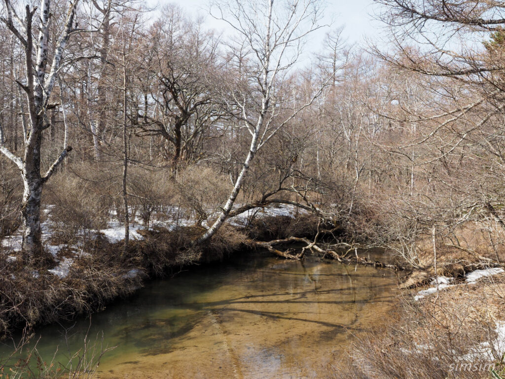 奥日光　戦場ヶ原