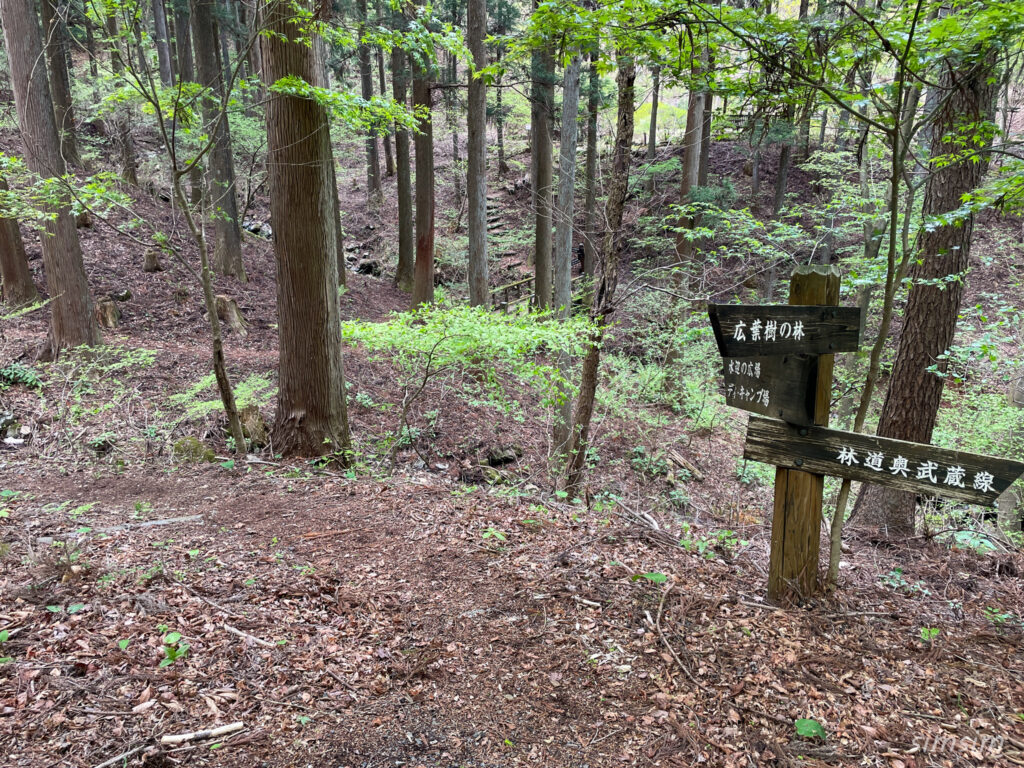 埼玉県県民の森