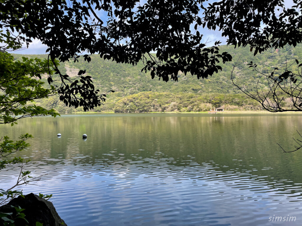 三宅島　大路池