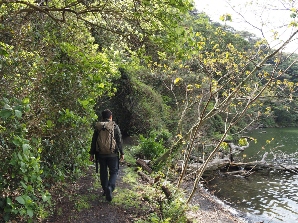 三宅島　大路池