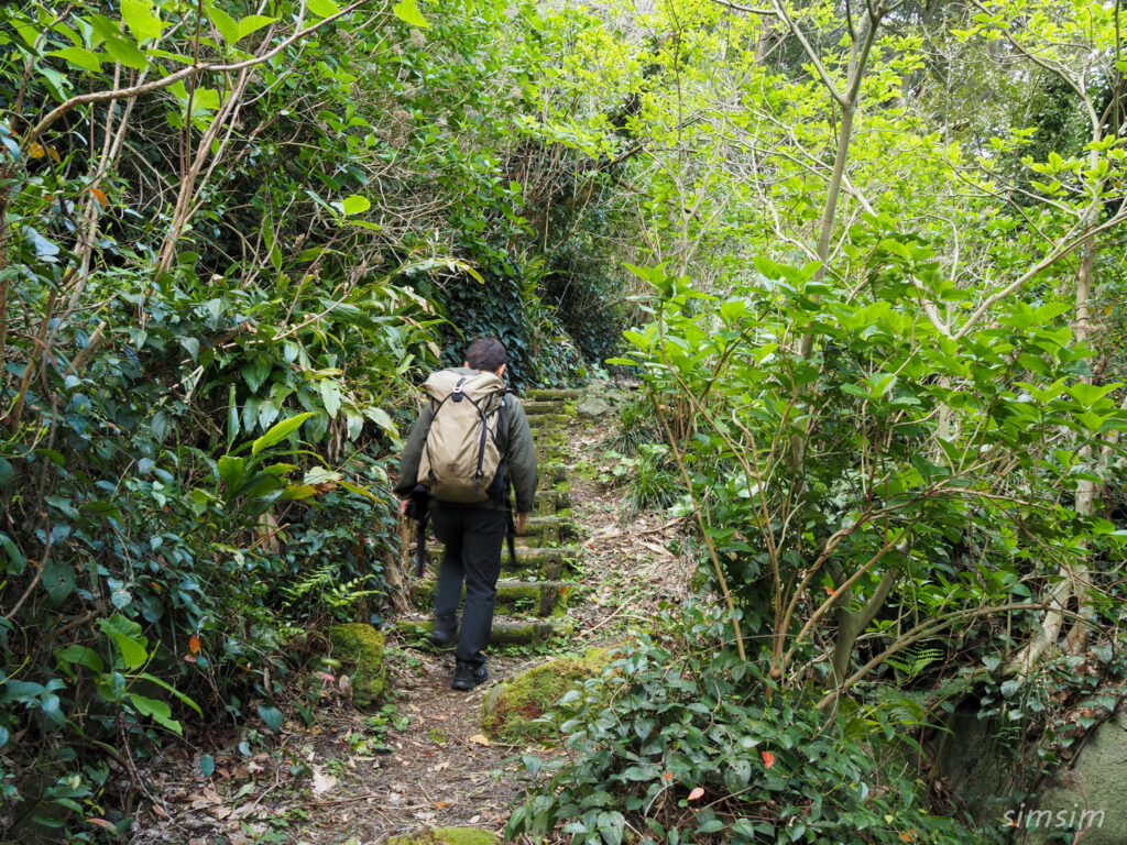 三宅島　大路池